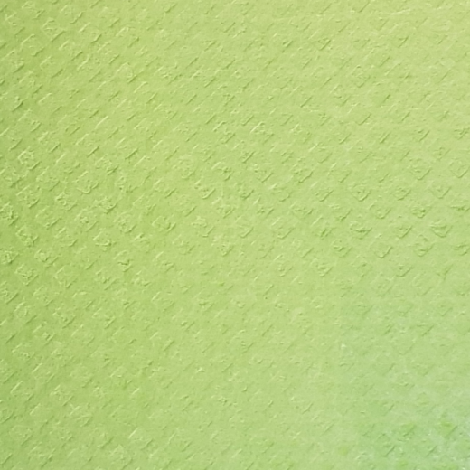 Sponge cloth dry 180x200mm 1x piece -applegreen-